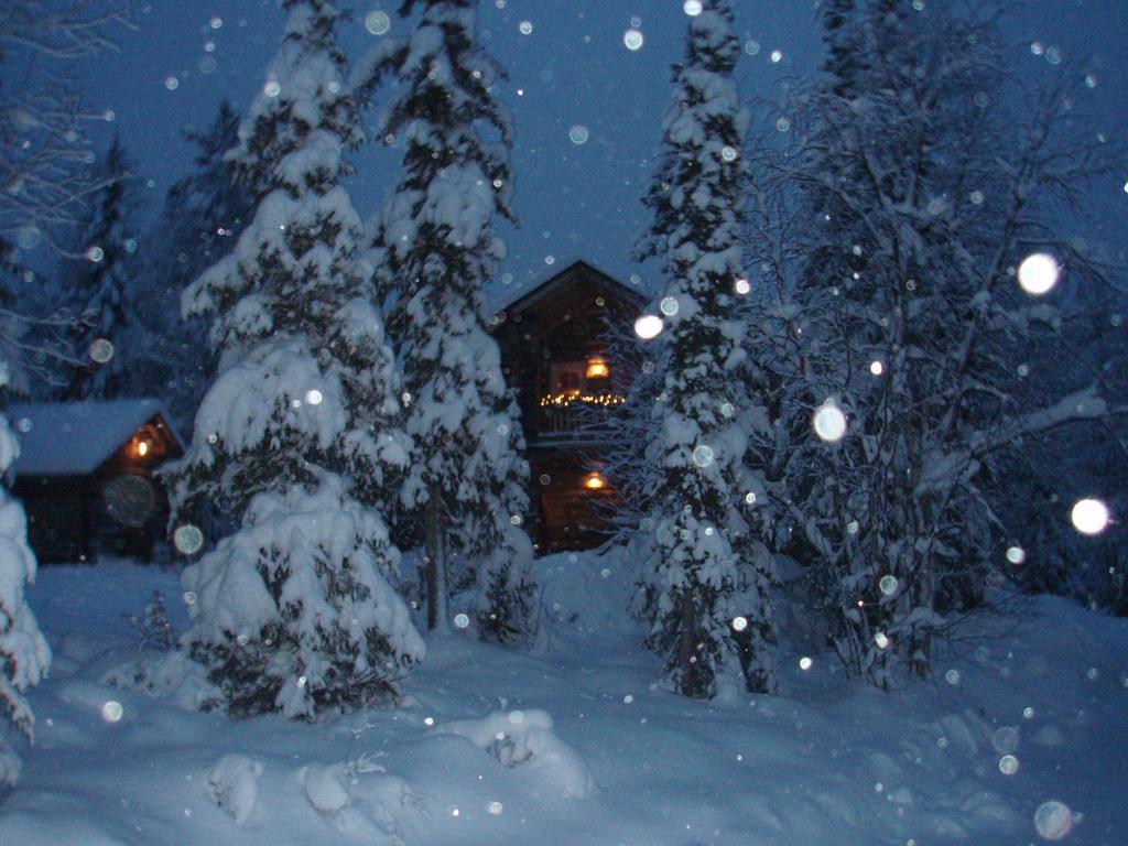 Yllaeshilla Holiday home *